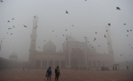 Даже солнца не видно Столицу Индии накрыл токсичный смог
