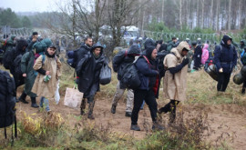 Trei orașe sînt gata să primească refugiați de la granița dintre Polonia și Belarus