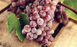 Польза винограда для людей с сердечными проблемами