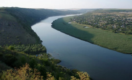 ПСРМ бьет тревогу в связи с ухудшающейся ситуацией на реке Днестр