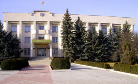 Președintele raionului Criuleni a demisionat