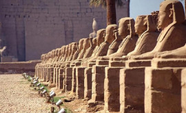 В египетском Луксоре после реставрации открыли древнюю Аллею сфинксов