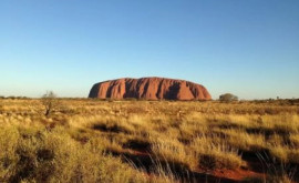 Specii de plante necunoscute au fost găsite pe stânca sacră Uluru din Australia