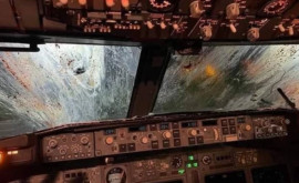 Как выглядит лобовое стекло самолета после столкновения с птицами ФОТО