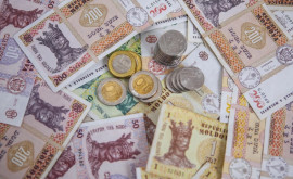 Сколько денег в казну собрала Налоговая служба Молдовы с начала года 