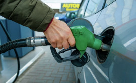 Приятная новость для водителей топливо продолжает дешеветь 