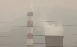 Евросоюз подал в ЕСПЧ иск против Румынии за загрязнение окружающей среды