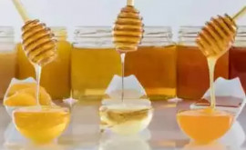 Tipurile de miere și recomandările lor pentru diferite afecțiuni