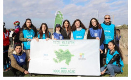 В Азербайджане посажено миллионное дерево Зеленого марафона