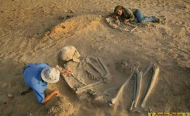 В Северной Америке найдено множество останков гигантских людей 