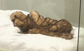Peru O mumie din perioada preincaşă expusă la o universitate din Lima