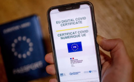 Страны ЕС ограничат срок действия сертификата COVID 9 месяцами