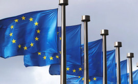 Украина подаст иск против ЕС за отказ Польши увеличить число разрешений на перевозки