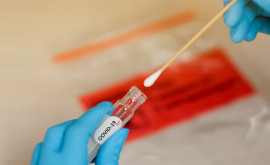 Moldovenii care călătoresc în străinătate pot face un test PCR cu 300 de lei în 5 laboratoare de stat 