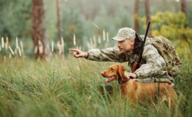 За нарушение правил на охотников наложены крупные штрафы