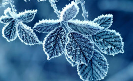 În Moldova se așteaptă înghețuri până la 12 grade