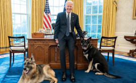 Joe Biden la prezentat pe Commander noul câine de la Casa Albă