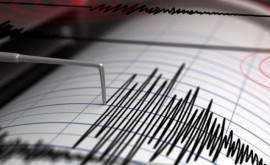 Cutremur puternic în California Ce magnitudine a avut