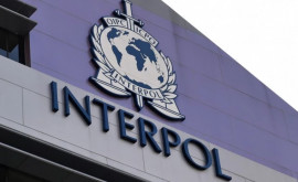 Cei mai căutați moldoveni din lume Pentru ce fapte au ajuns în lista Interpol