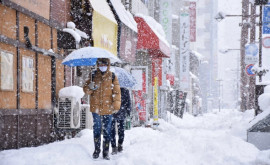 Mai multe regiuni din Japonia au fost paralizate de ninsorile abundente