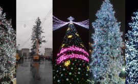 Эпопея елок Какие елки устанавливали в Кишиневе за последние 10 лет