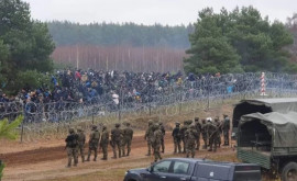 Польша договорилась о строительстве стены на границе с Беларусью 