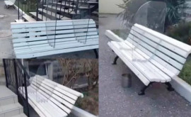 В одном из российских городов установили антиковидные скамейки