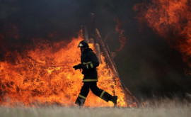 7 hectare de vegetație uscată a luat foc lângă Aeroport Două echipe de pompieri au luptat cu flăcările