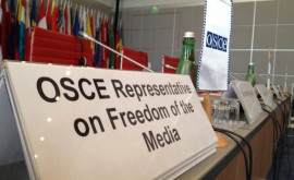 Reprezentanta OSCE a criticat modificările la TeleradioMoldova