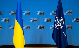 На Украине потребовали от НАТО гарантий безопасности до вступления в альянс