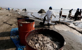 Разлив нефти на заводе в Перу привел к экологической катастрофе