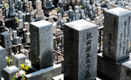 Гробницы первых императоров Японии исследовали со спутника