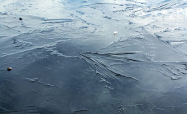Житель столицы провалился под лед на озере в парке Валя Морилор
