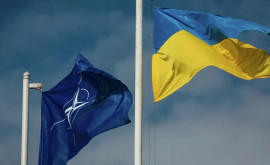 Ucraina îndeamnă Rusia să adere la NATO