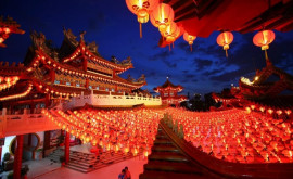 Oamenii întîmpină cu flori și lumini Anul Nou Chinezesc