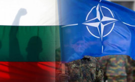 В России опровергли требование исключить Болгарию из НАТО