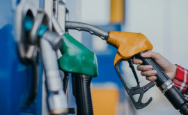 НАРЭ запустило электронную платформу для мониторинга цен на топливо