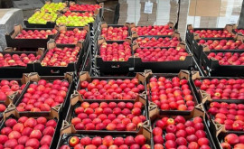 Молдавские яблоки появятся на прилавках магазинов в Израиле