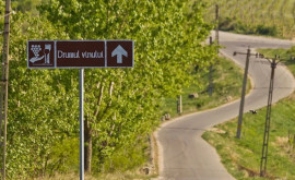 Drumul Vinului integrat în cadrul rutelor culturale europene