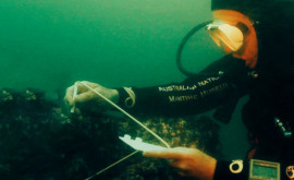 Nava căpitanului James Cook scufundată acum 200 de ani găsită