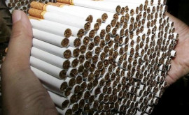 Percheziții la o întreprindere care fabrica și comercializa țigări