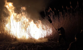 Noapte de foc pentru pompierii din sudul țării