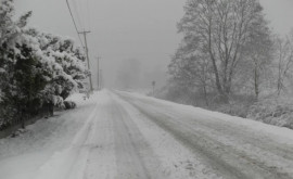 В США снежная буря оставила без электричества более 230 тысяч человек