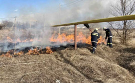 Пожарные ликвидировали более 50 очагов возгорания сухой растительности