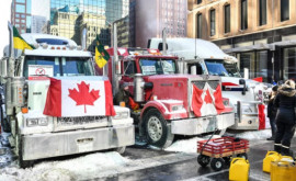Protestatarii din Ottawa sau pomenit cu dosare penale