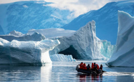 Ученые Глобальное потепление может вызвать выброс радиации в Арктике
