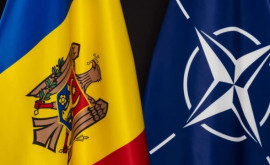 Молдова планирует сотрудничать с НАТО но не присоединяться к нему