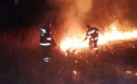 Incendiu la CeadîrLunga Peste 100 hectare de vegetație cuprinse de flăcări