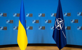 Украина может отказаться от заявки на вступление в НАТО