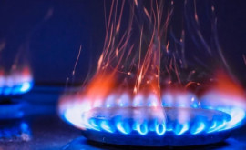 Правительство компенсирует разницу в тарифах на газ и свет